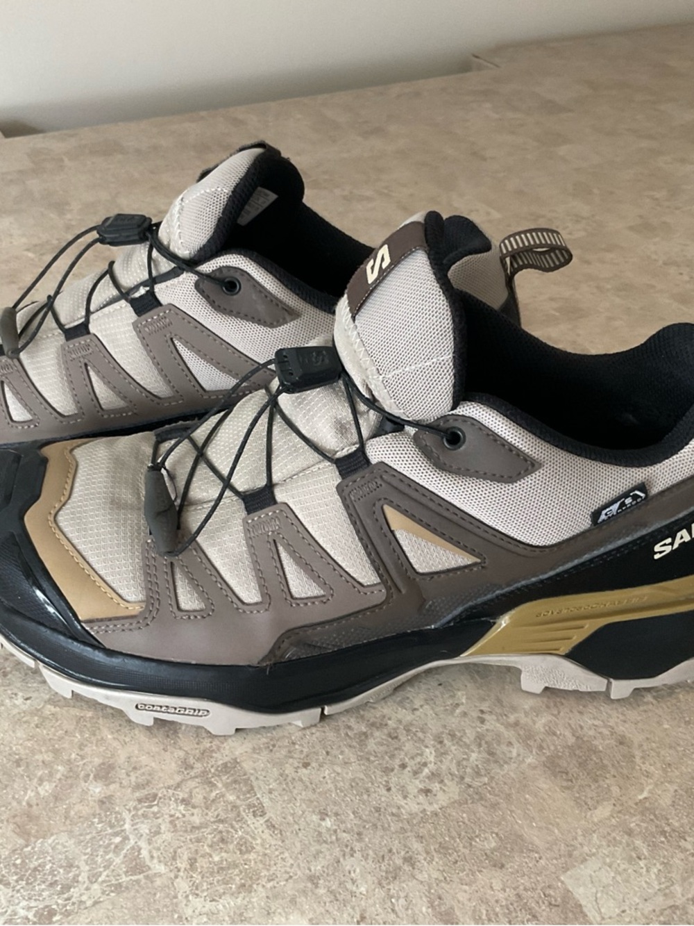 Salomon Men’s Hiking Gore-Tex Shoes